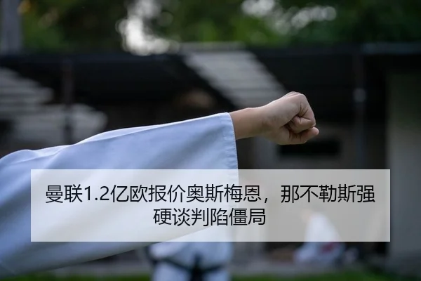 曼联1.2亿欧报价奥斯梅恩，那不勒斯强硬谈判陷僵局